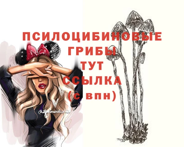 тгк Михайловск