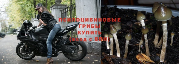 тгк Михайловск