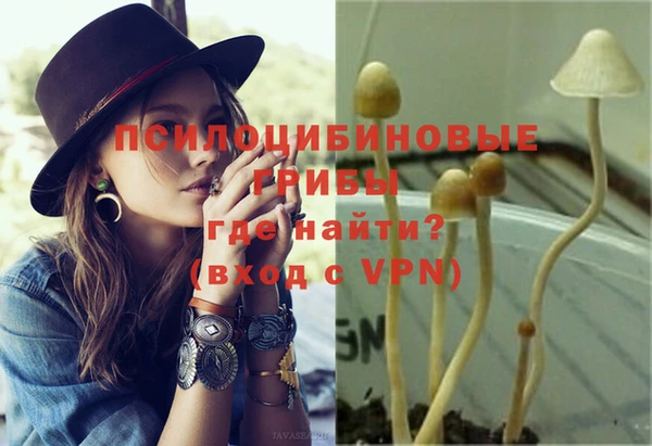 тгк Михайловск
