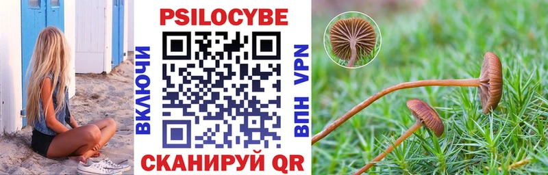 хочу   Шимановск  Галлюциногенные грибы GOLDEN TEACHER 